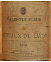 Valentin Fleur