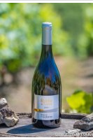 Domaine des Galloires - Roche de Loire