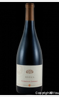 Domaine de Prapin - Antica