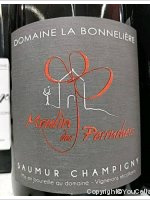 Domaine la Bonnelière - Moulin des Perruchers