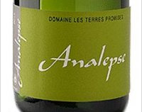Domaine les Terres Promises - Analepse