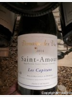 Domaine des Duc - Capitan