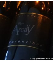 Mas d'Arcaÿ - Valentibus 